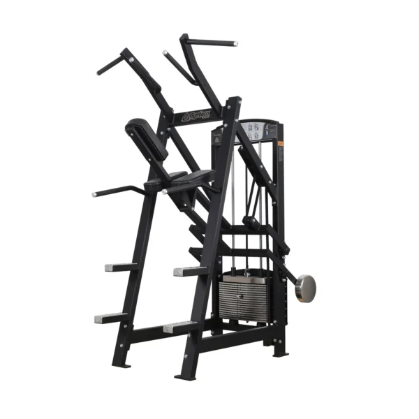 314 Chins Dip Gymleco