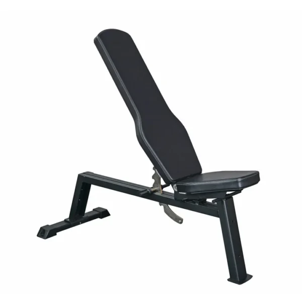 Panca da Palestra Regolabile